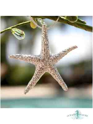 Starfish - LG - Image 3