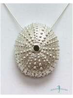 Sea Urchin