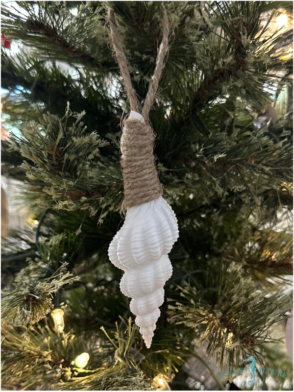 Spindle Shell Ornament