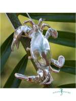 Crab - LG - Image 2