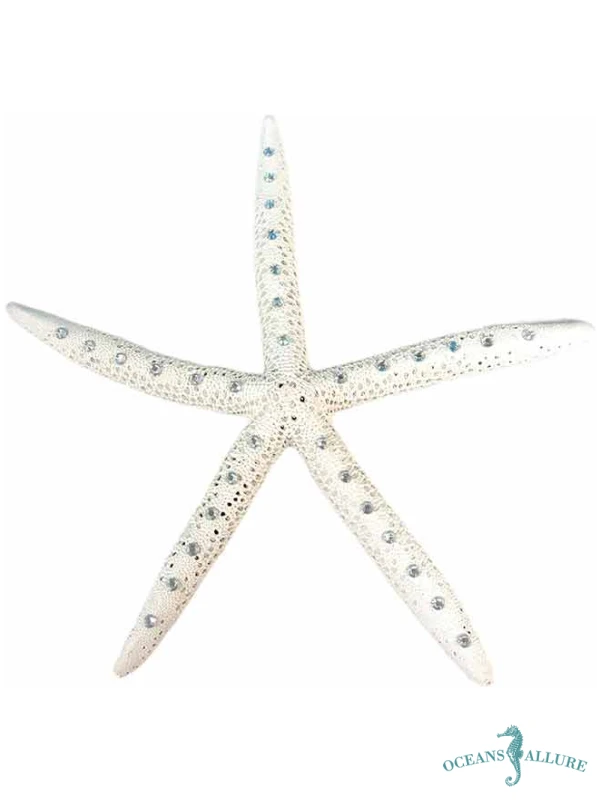 XL CZ Starfish Decor